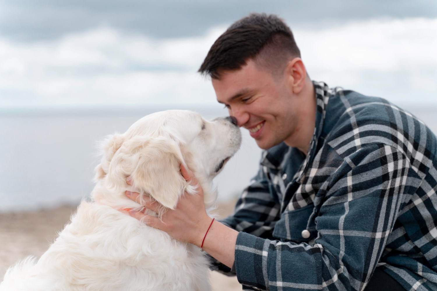 Dogs Ear Cleanser