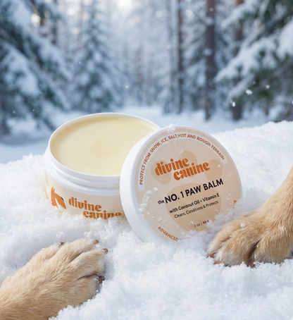 Divine Canine No. 1 Paw Balm tin open in the snow with two dog paws beside it in a winter forest setting