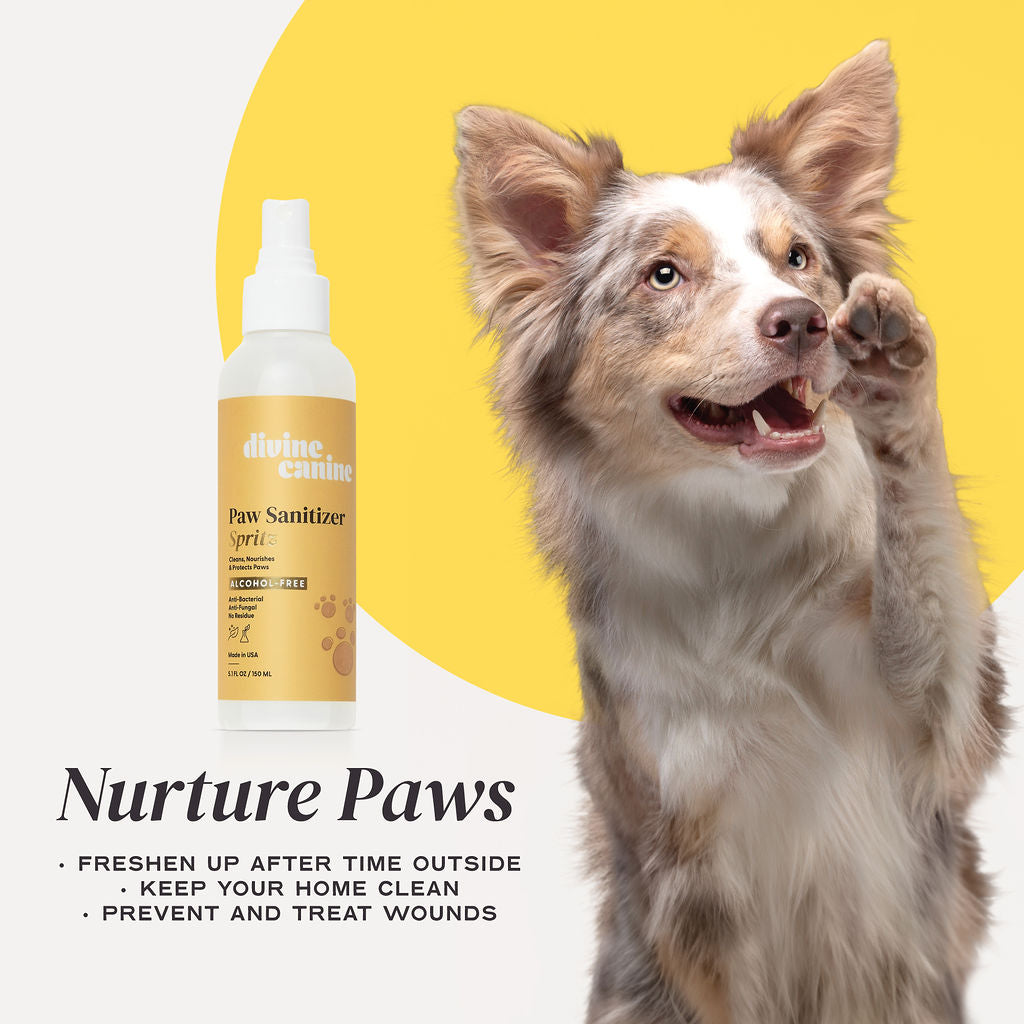 Paw Sanitizer Spritz