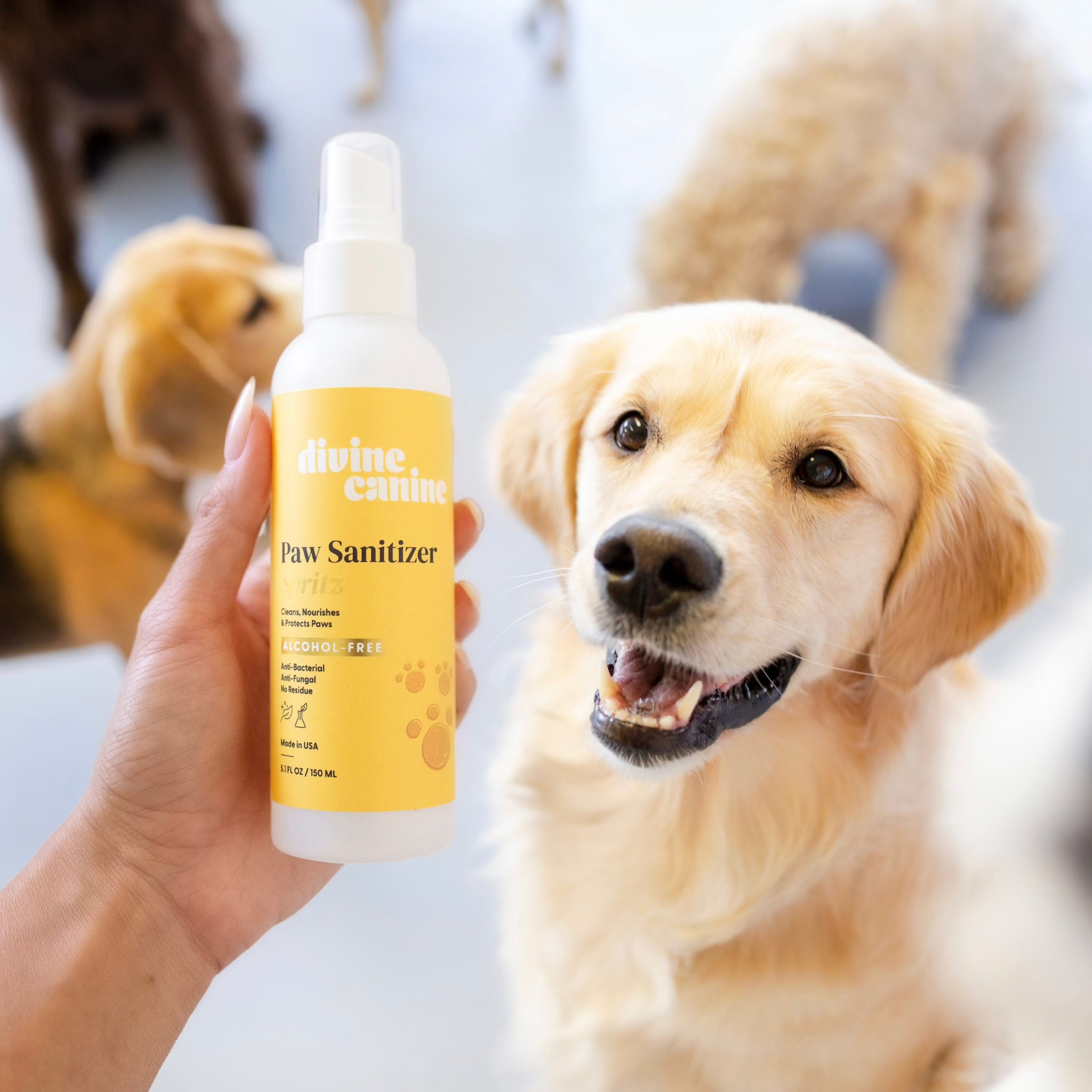 Paw Sanitizer Spritz