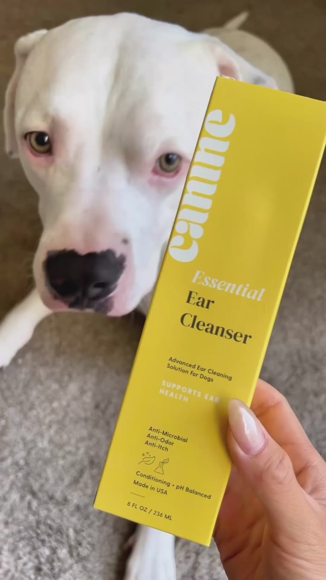 Essential Ear Cleanser